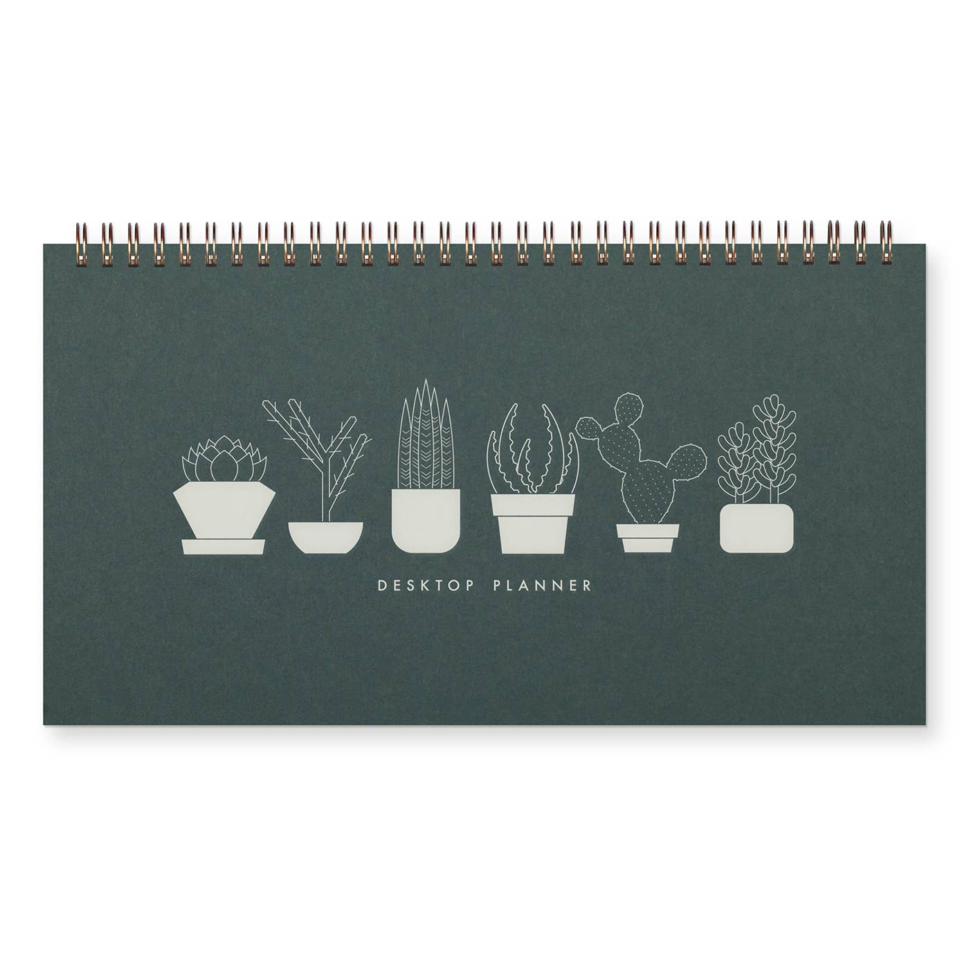 Succulent Undated Weekly Planner - Time's Reel