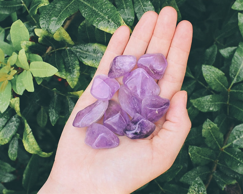 Amethyst Tumbled Crystal - Time's Reel