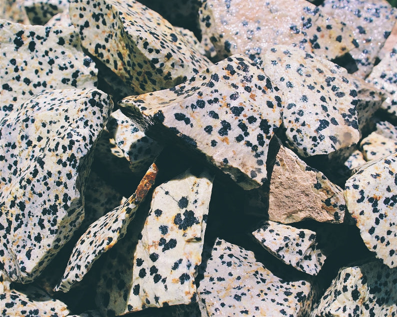 Dalmatian Jasper Stone Chunk - Time's Reel